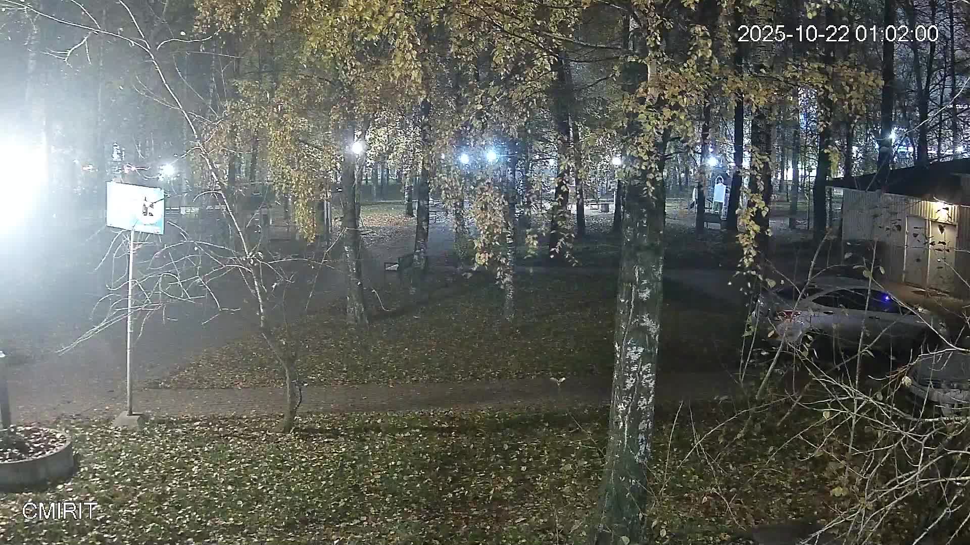 Веб-камера Сквер Гоголя 03 в Череповце