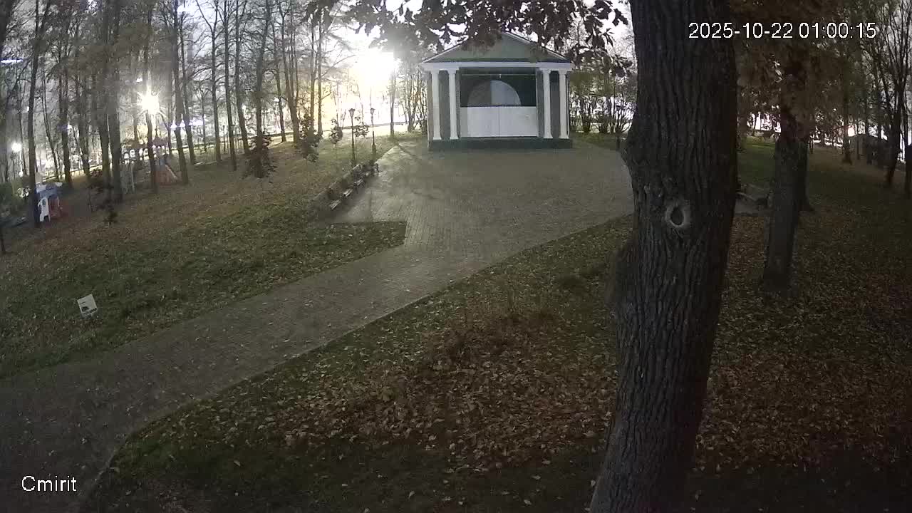 Веб-камера Парк КиО 9 сцена в Череповце