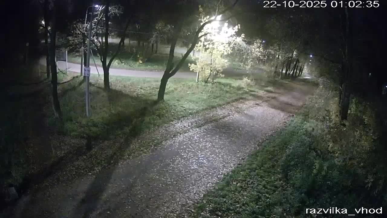 Веб-камера Тропа здоровья 01 в Череповце