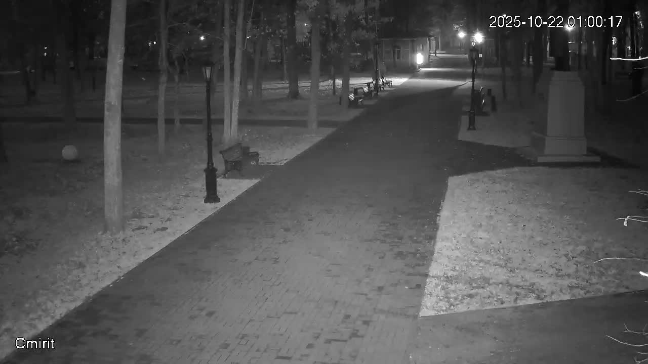 Веб-камера Парк КиО 7 памятник Ленину в Череповце